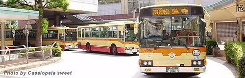 神奈川中央交通の21年3月期は89億円の最終赤字へ