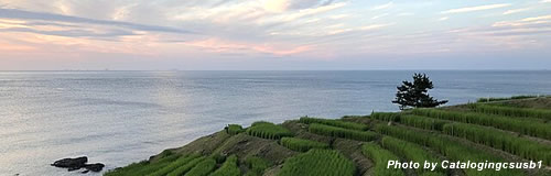 石川の「輪島市商店連盟協同組合」が自己破産申請、地震影響